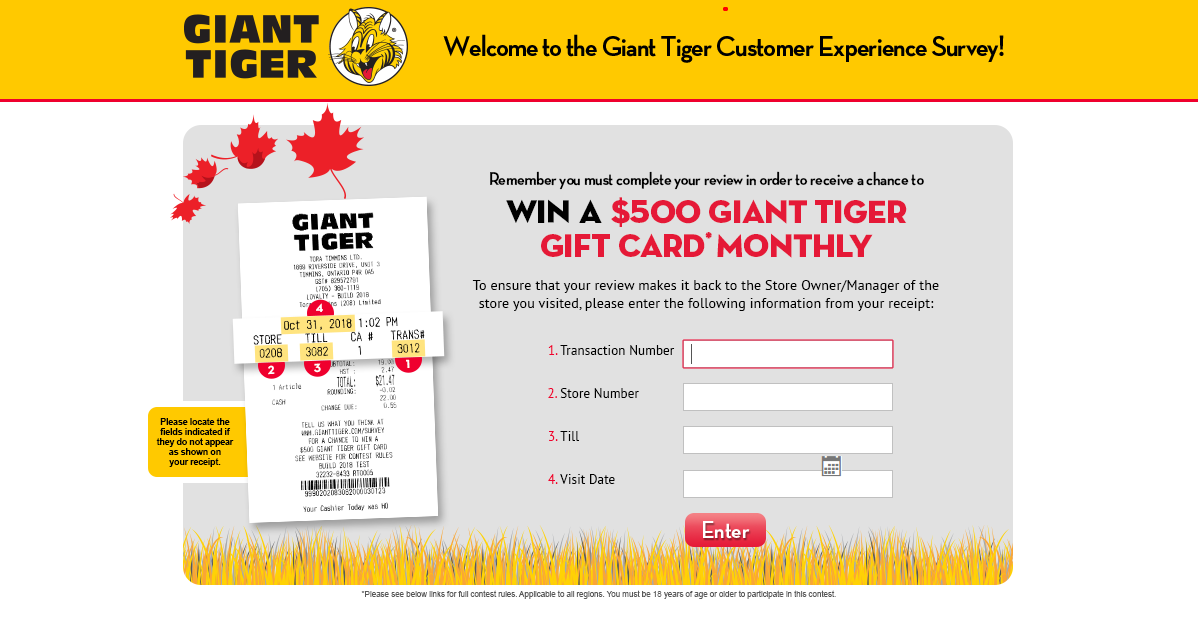 GiantTiger Survey